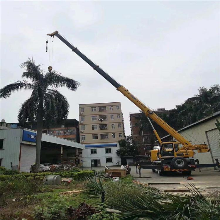 中牟汽车吊出租多少钱？全面解析与市场行情